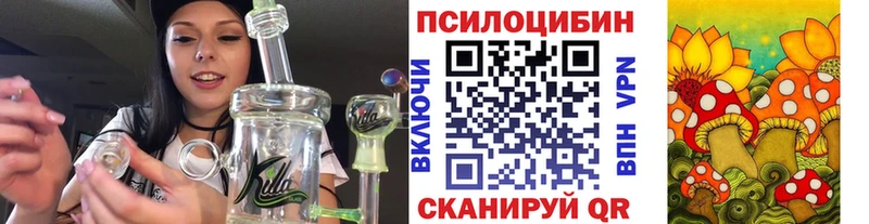 как найти наркотики Кыштым Псилоцибиновые грибы Psilocybe